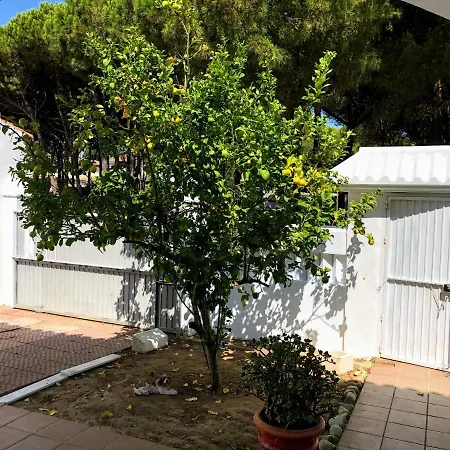 Chalet Nervion Cerca La Barrosa Holiday home *